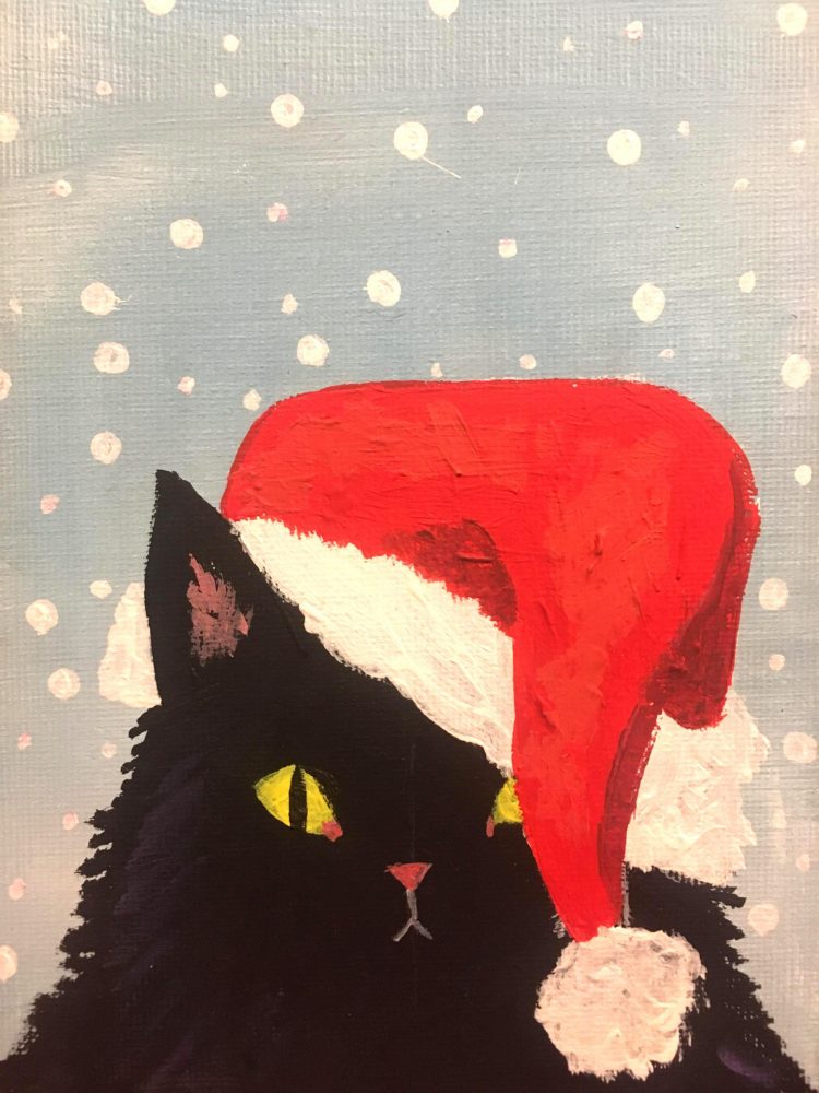 cat in Santa hat