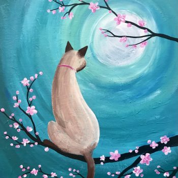 cat in a cherry blossom tree