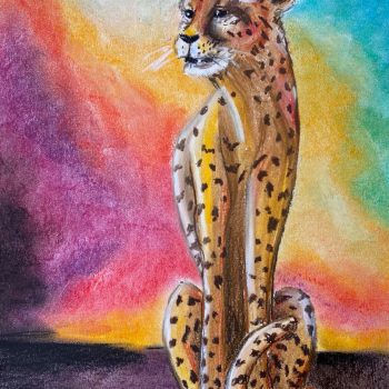 pastel cheetah