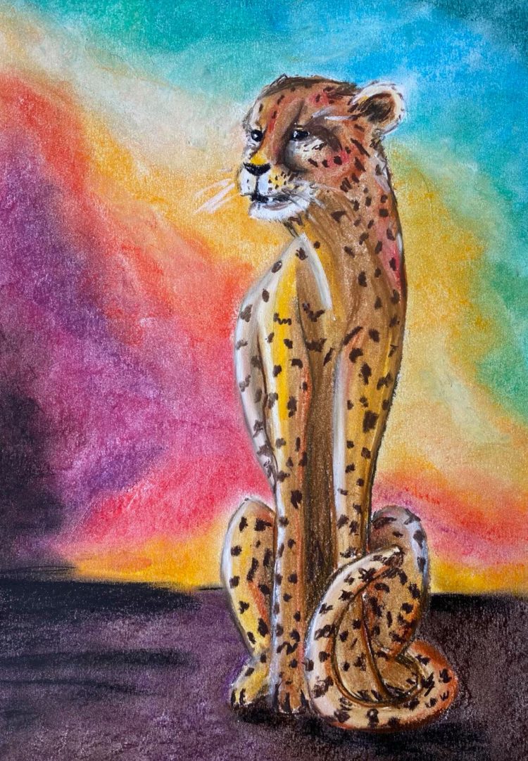 pastel cheetah