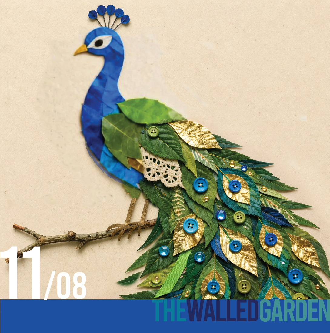 11th August- Ticket For “Peacock Collage” Mini Makers 2pm at The Walled Garden